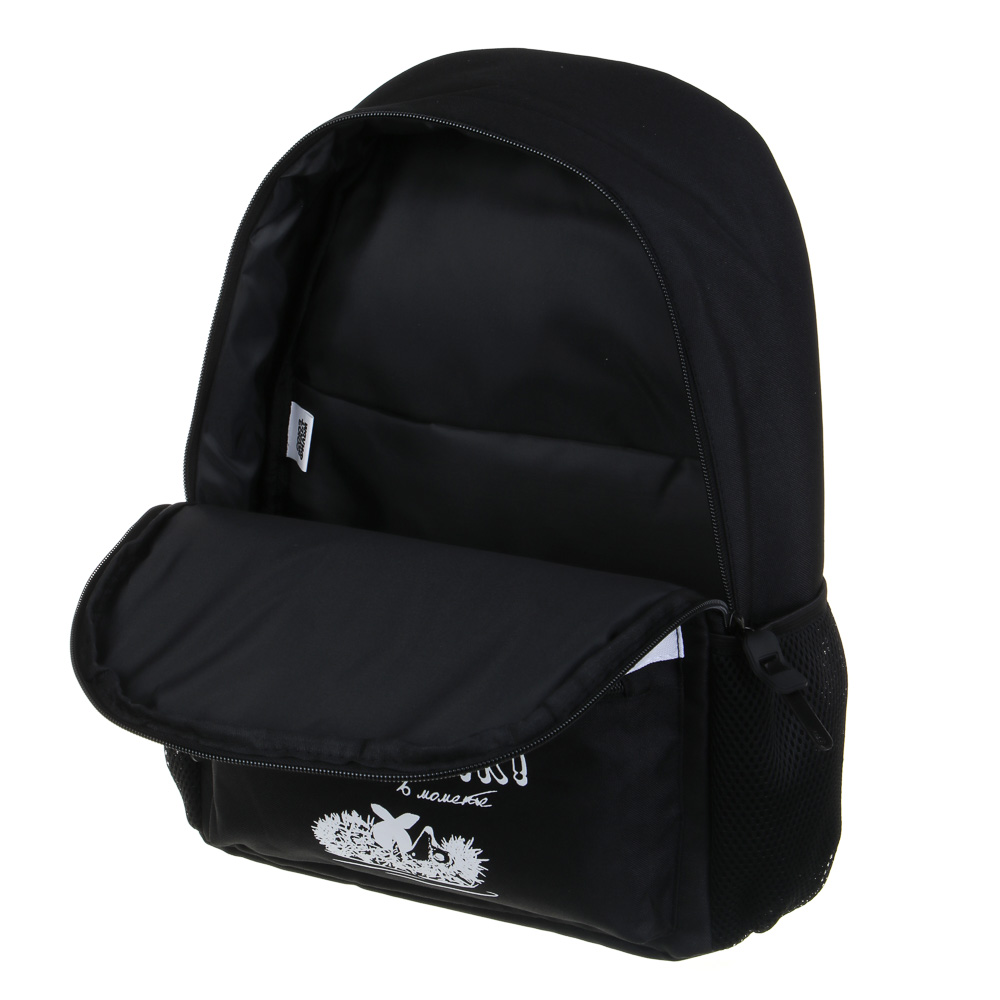 Ежик в Тумане Рюкзак подростковый 40х30х15 см, 1 отд., 4 кармана (1 на спинке), уплотнен.лямки, полиэстер, арт.№ 805-033